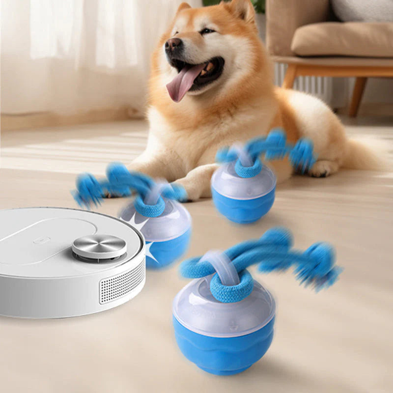 📦 Kombinált csomag 🔗🐾 Interaktív elektronikus játék állatok megnyugtatására – labda 🎾