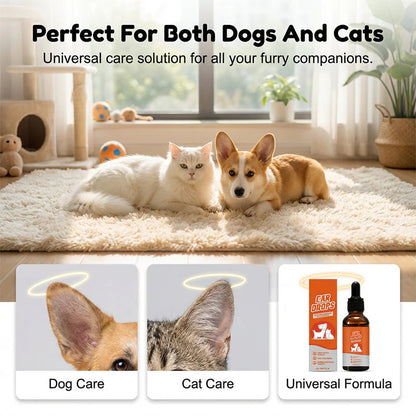 🐶🐱 Természetes fülcsepp kutyáknak és macskáknak a viszketés enyhítésére és a fülzsír eltávolítására