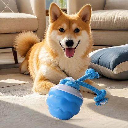 📦 Kombinált csomag 🔗🐾 Interaktív elektronikus játék állatok megnyugtatására – labda 🎾