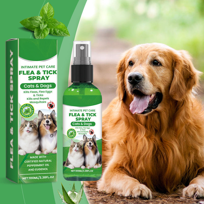 🔥50% Kedvezmény🏷️🐾 Természetes összetevőkkel, 🌿 bolha- és kullancsriasztó spray kutyáknak és macskáknak – borsmentaolaj, teafaolaj, aloe vera