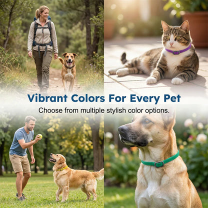 🎉🐶🐱 – Növényi alapú nyakörv bolhák és kullancsok ellen 🌿 🐕