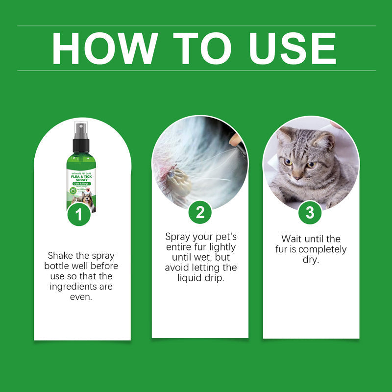 🔥50% Kedvezmény🏷️🐾 Természetes összetevőkkel, 🌿 bolha- és kullancsriasztó spray kutyáknak és macskáknak – borsmentaolaj, teafaolaj, aloe vera