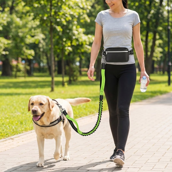 🔥50% popust🏷️🐶 Elastični povodec za pse brez ročaja 🟢 z nastavljivim pasom blažilni del za blaženje sunkov med tekom 🎒 priložena snemljiva torba za sprehode z ljubljenčkom