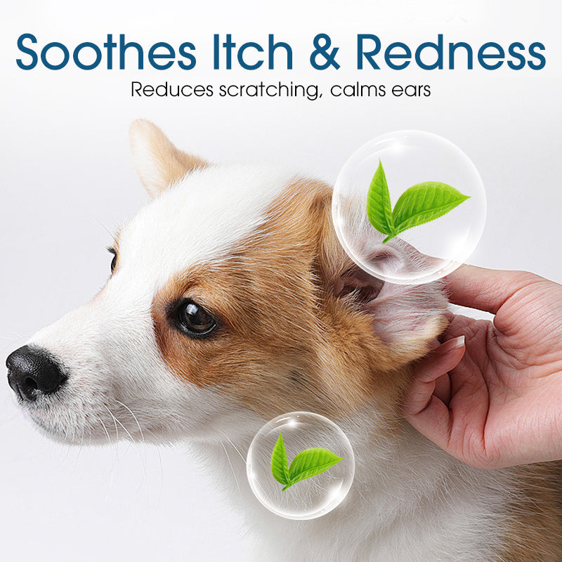 🔥50% Kedvezmény🏷️🐕🐱 Védd meg a szőrös barátod fülét! Kisállat fültisztító folyadék – 🌿növényi kivonatok, 🧪tudományos formula, 👂ergonómikus szilikoncsúcs