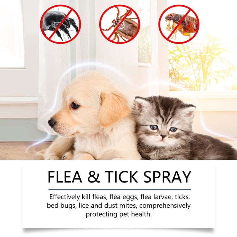 🔥50% Kedvezmény🏷️🐾 Természetes összetevőkkel, 🌿 bolha- és kullancsriasztó spray kutyáknak és macskáknak – borsmentaolaj, teafaolaj, aloe vera