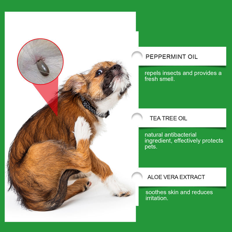 🔥50% Kedvezmény🏷️🐾 Természetes összetevőkkel, 🌿 bolha- és kullancsriasztó spray kutyáknak és macskáknak – borsmentaolaj, teafaolaj, aloe vera