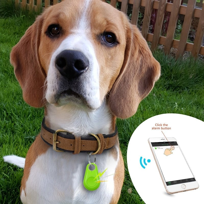 🔥50% Kedvezmény🏷️🐾 Bluetooth-os és GPS-es vezeték nélküli háziállat-nyomkövető, 🌍 pontos helymeghatározás, 📱 ingyenes alkalmazással – kulcsokhoz és táskákhoz is