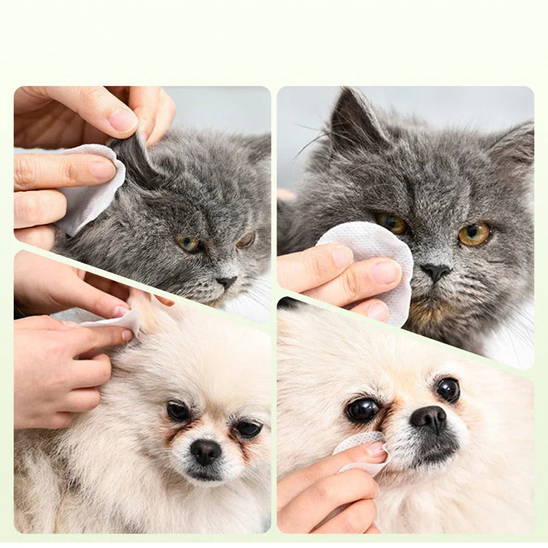 Vlažne krpice za oči in ušesa hišnih ljubljenčkov | PETCLEAR