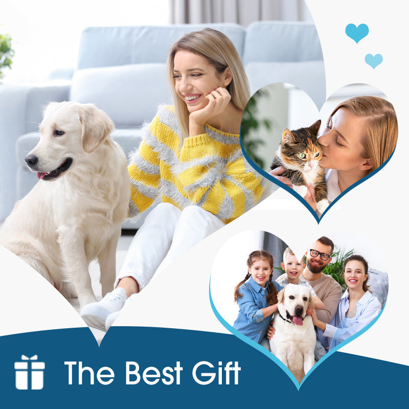 🔥50% Kedvezmény🏷️🐕🐱 Védd meg a szőrös barátod fülét! Kisállat fültisztító folyadék – 🌿növényi kivonatok, 🧪tudományos formula, 👂ergonómikus szilikoncsúcs