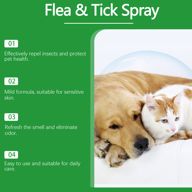 🔥50% Kedvezmény🏷️🐾 Természetes összetevőkkel, 🌿 bolha- és kullancsriasztó spray kutyáknak és macskáknak – borsmentaolaj, teafaolaj, aloe vera