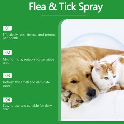 🔥50% Kedvezmény🏷️🐾 Természetes összetevőkkel, 🌿 bolha- és kullancsriasztó spray kutyáknak és macskáknak – borsmentaolaj, teafaolaj, aloe vera
