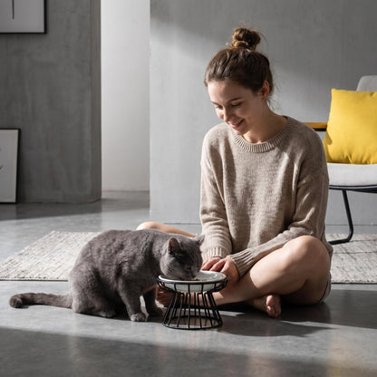 🔥 50% Kedvezmény 🏷️🐱 Kerámia macskatál magas vasállvánnyal – Kényelmes és egészséges étkezés a szőrös barátodnak! 🍽️