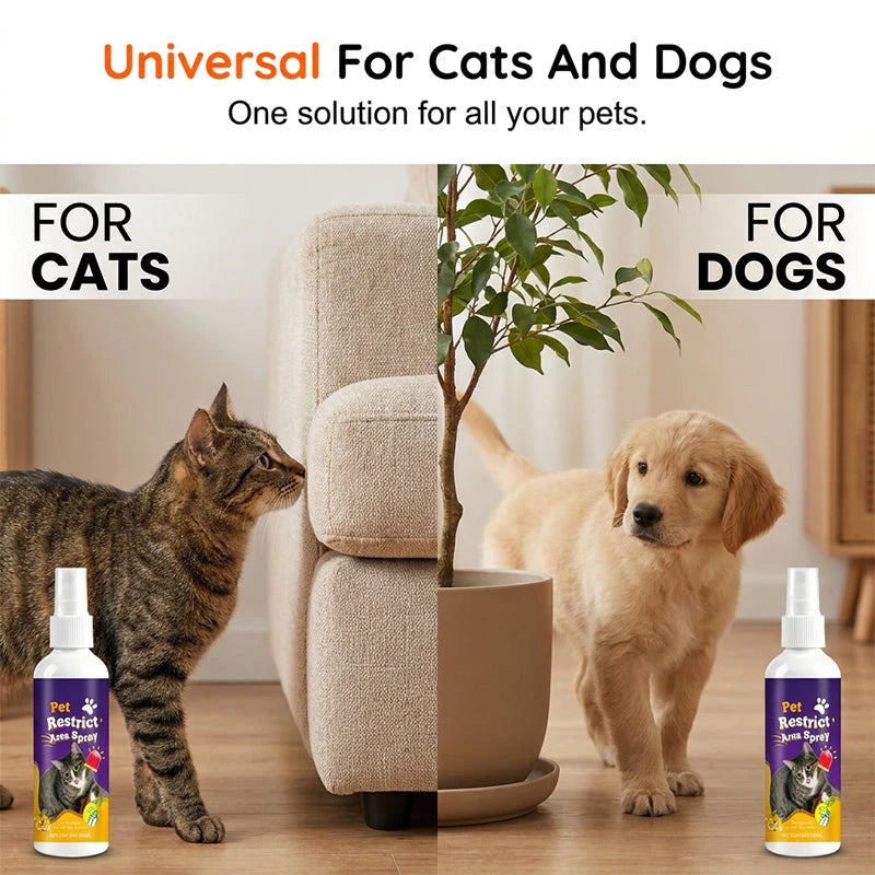 🚫 Állatriasztó spray – természetes macska- és kutyariasztó 🐾
