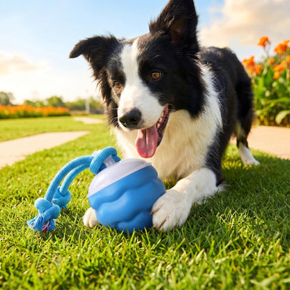 📦 Kombinált csomag 🔗🐾 Interaktív elektronikus játék állatok megnyugtatására – labda 🎾