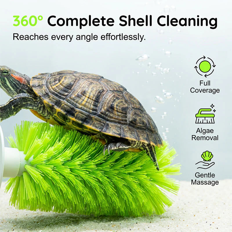 🐢🧼 Teknősök páncéljának tisztítására szolgáló kefe – akváriumokhoz is alkalmas ✨