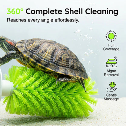 🐢🧼 Teknősök páncéljának tisztítására szolgáló kefe – akváriumokhoz is alkalmas ✨