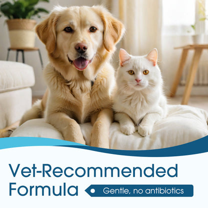 🔥50% Kedvezmény🏷️🐕🐱 Védd meg a szőrös barátod fülét! Kisállat fültisztító folyadék – 🌿növényi kivonatok, 🧪tudományos formula, 👂ergonómikus szilikoncsúcs