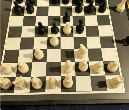 🔥50% popust🏷️♟️ Magnetna šahovska igra – 🧲 magnetne figure, 📦 zložljiva deska, 🎁 odlično darilo