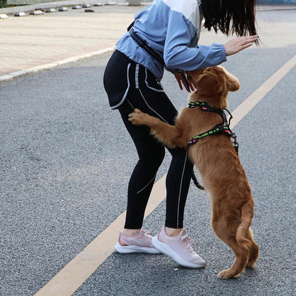 🔥50% popust🏷️🐶 Elastični povodec za pse brez ročaja 🟢 z nastavljivim pasom blažilni del za blaženje sunkov med tekom 🎒 priložena snemljiva torba za sprehode z ljubljenčkom